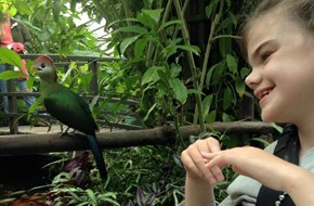 Young girl in a wheelchair smiling and looking at a tropical bird