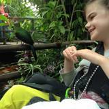 Young girl in a wheelchair smiling and looking at a tropical bird